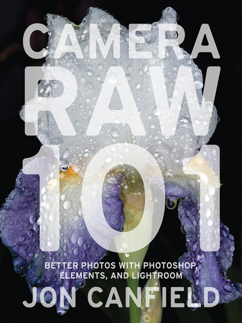Cover image for book Camera RAW 101