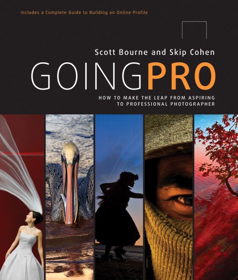 Cover image for book Going Pro