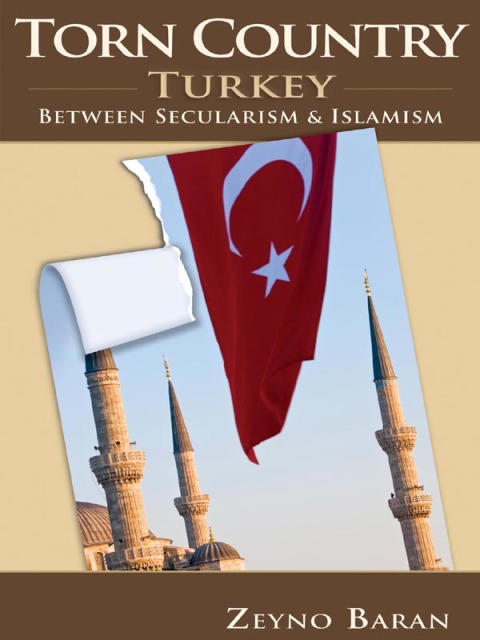 Cover image for book Torn Country