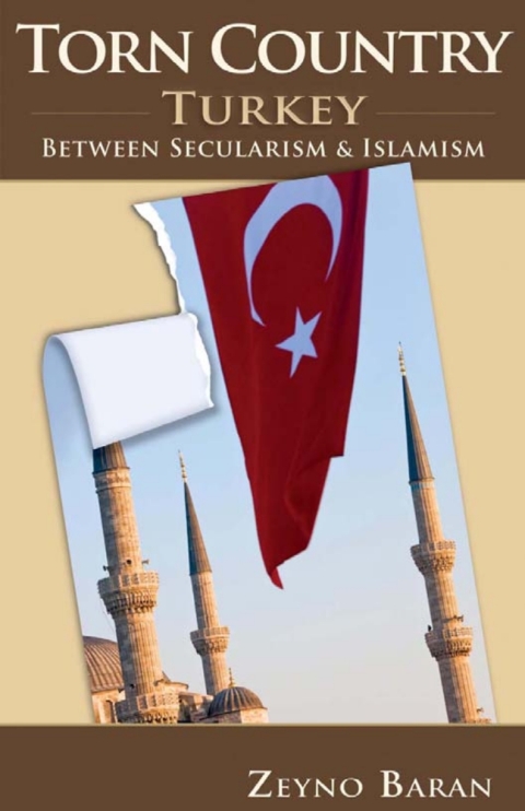 Cover image for book Torn Country