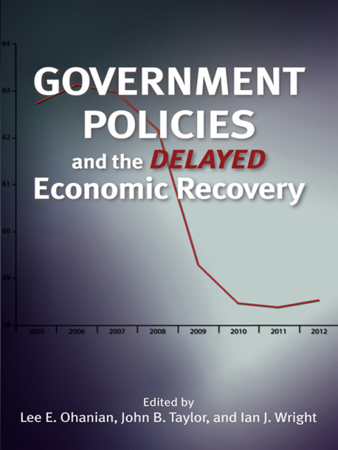 Government Policies and the Delayed Economic Recovery 