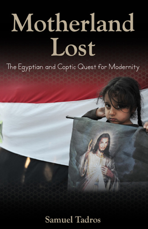 Cover image for book Motherland Lost