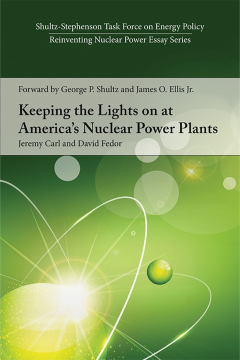 Cover image for book Keeping the Lights on at America's Nuclear Power Plants