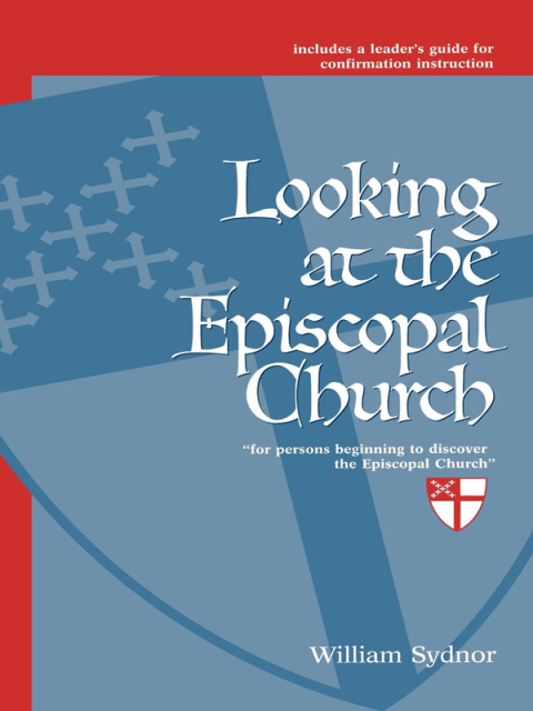 Looking at the Episcopal Church 