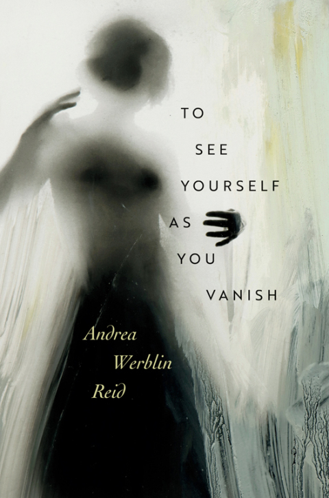 Cover image for book To See Yourself As You Vanish