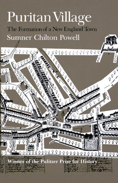 Cover image for book Puritan Village