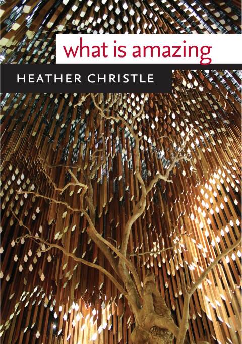Cover image for book What Is Amazing