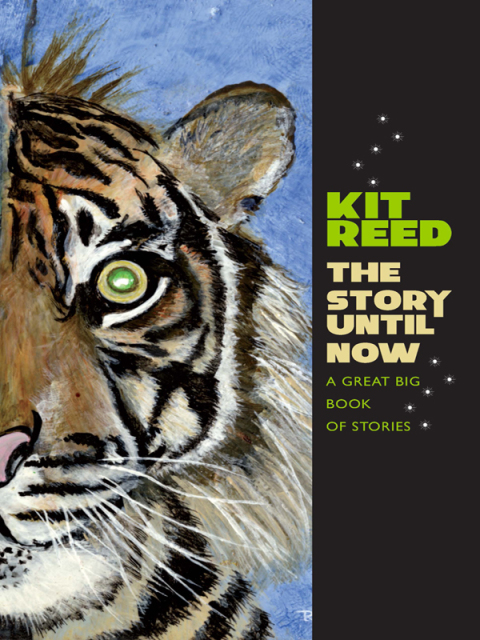 Cover image for book The Story Until Now