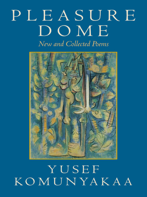 Cover image for book Pleasure Dome