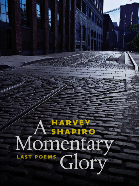 Cover image for book A Momentary Glory