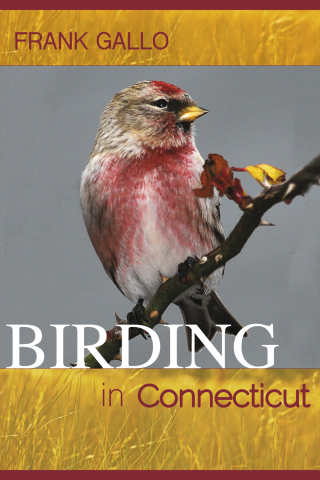 Birding in Connecticut