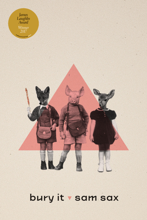 Cover image for book bury it