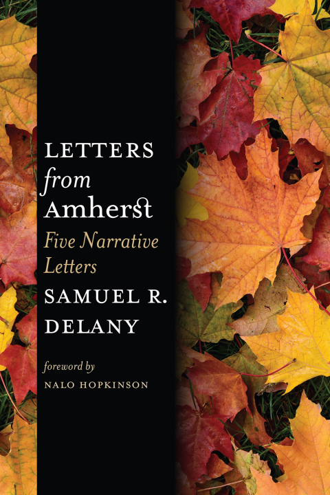 Cover image for book Letters from Amherst