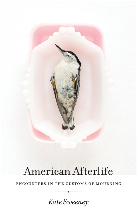 Cover image for book American Afterlife