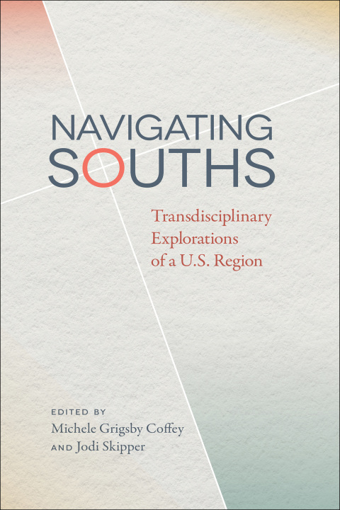 Cover image for book Navigating Souths