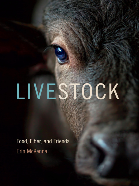 Cover image for book Livestock