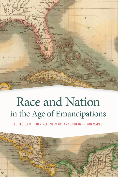 Cover image for book Race and Nation in the Age of Emancipations