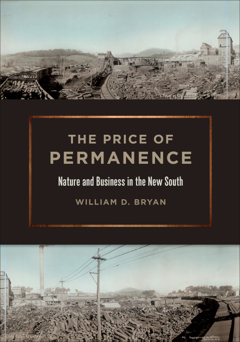 Cover image for book The Price of Permanence