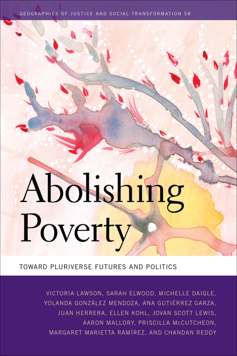 Cover image for book Abolishing Poverty
