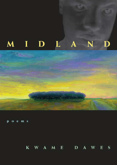 Cover image for book Midland