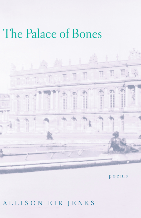 Cover image for book The Palace of Bones