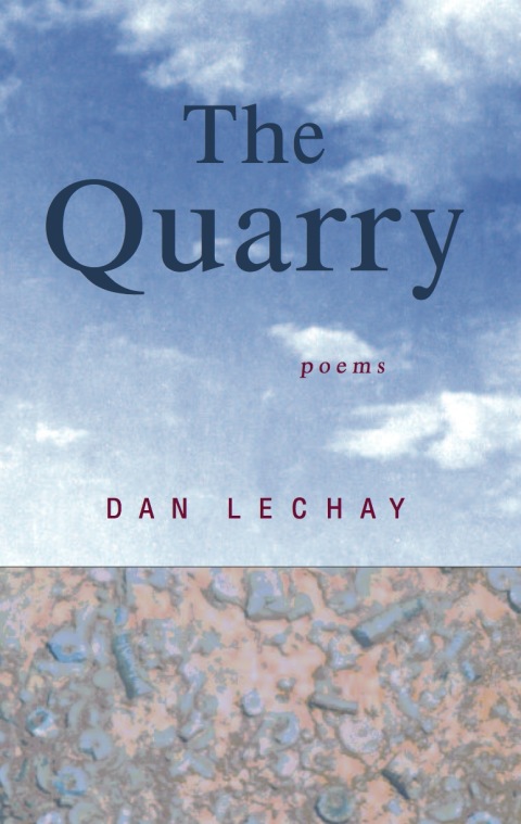 Cover image for book The Quarry