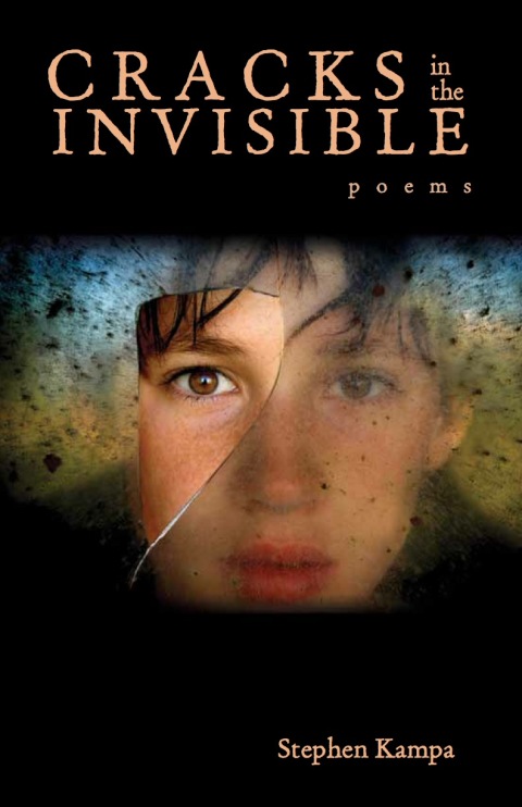 Cover image for book Cracks in the Invisible