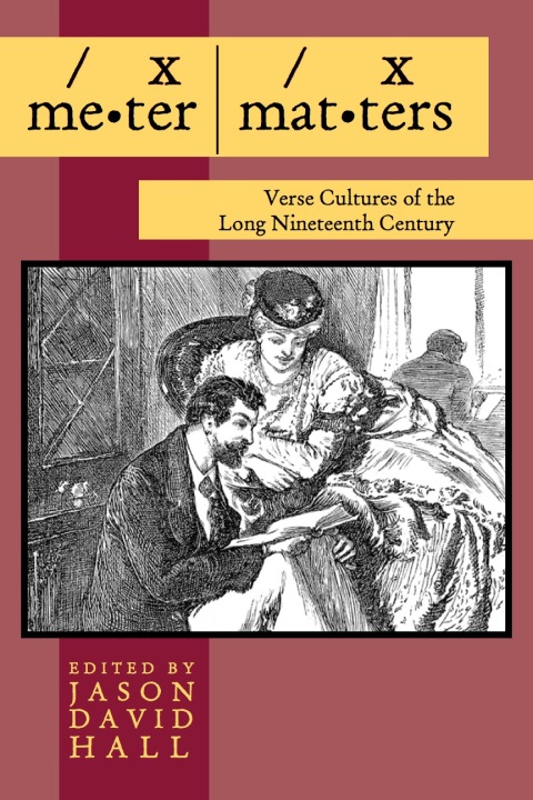 Cover image for book Meter Matters