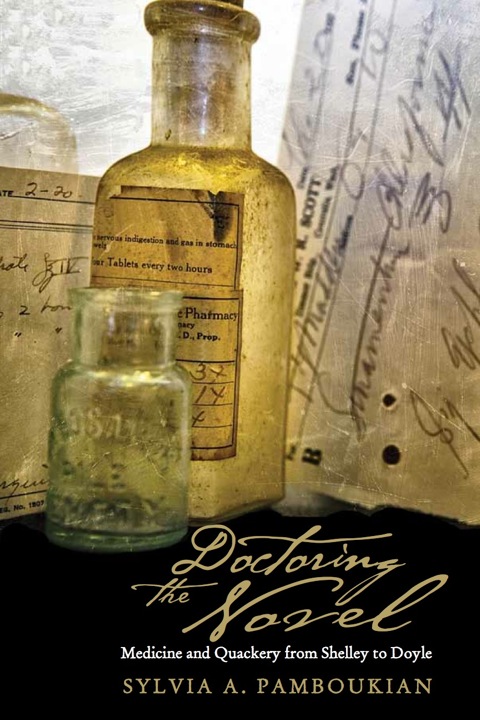 Cover image for book Doctoring the Novel