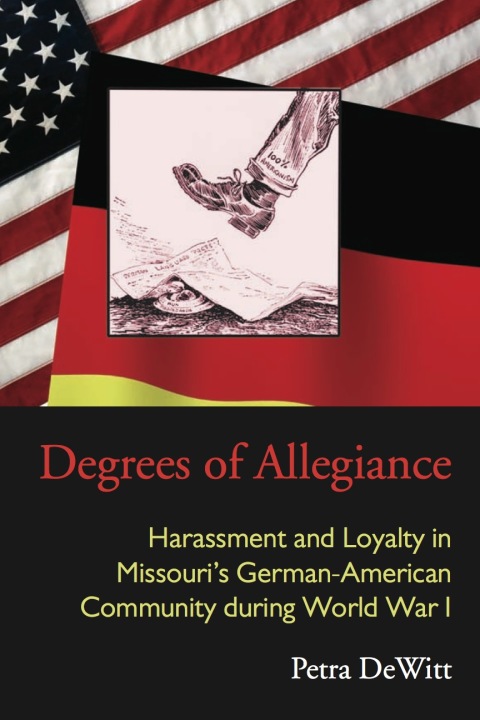 Cover image for book Degrees of Allegiance