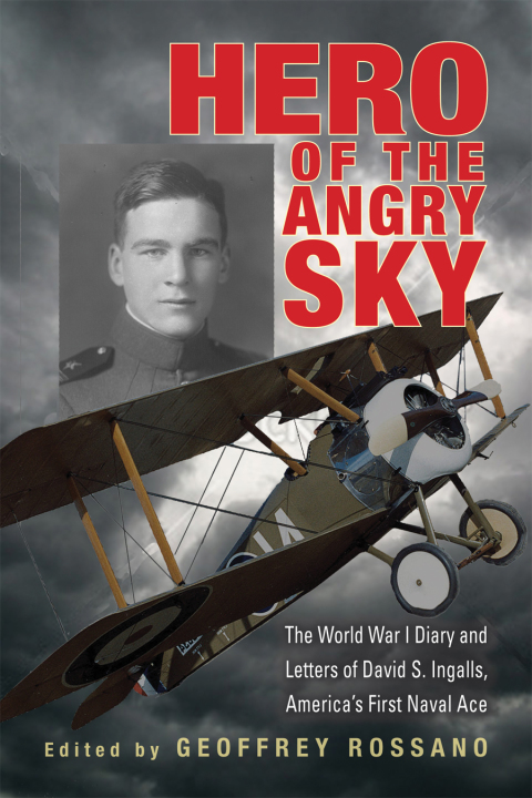 Cover image for book Hero of the Angry Sky