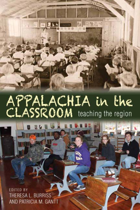 Cover image for book Appalachia in the Classroom