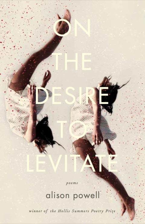 Cover image for book On the Desire to Levitate