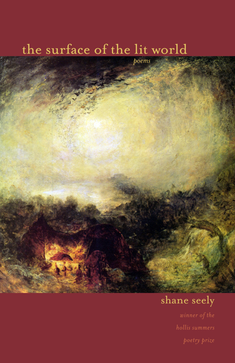 Cover image for book The Surface of the Lit World