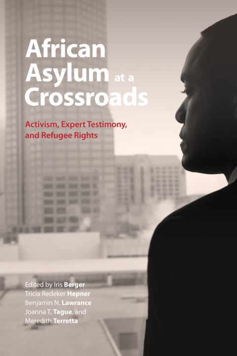 Cover image for book African Asylum at a Crossroads