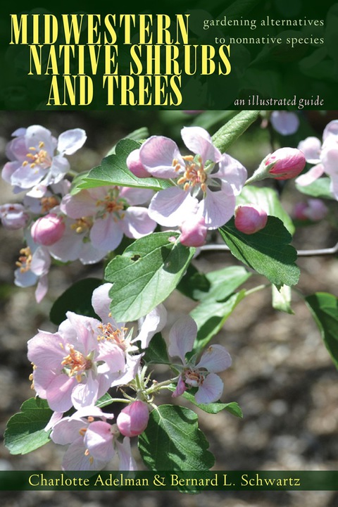 Cover image for book Midwestern Native Shrubs and Trees