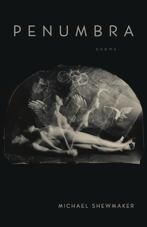 Cover image for book Penumbra