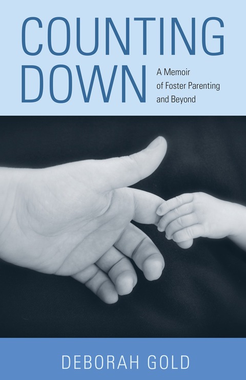 Cover image for book Counting Down