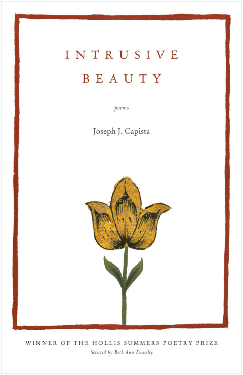 Cover image for book Intrusive Beauty