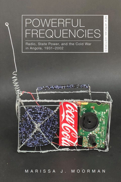 Cover image for book Powerful Frequencies