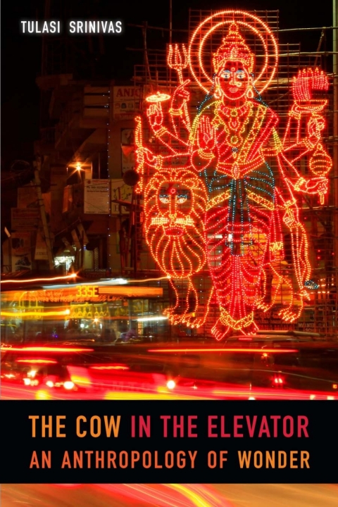 Cover image for book The Cow in the Elevator