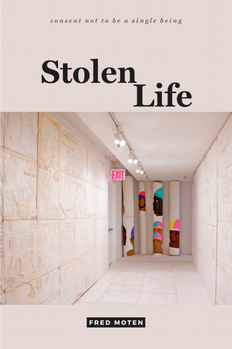 Cover image for book Stolen Life