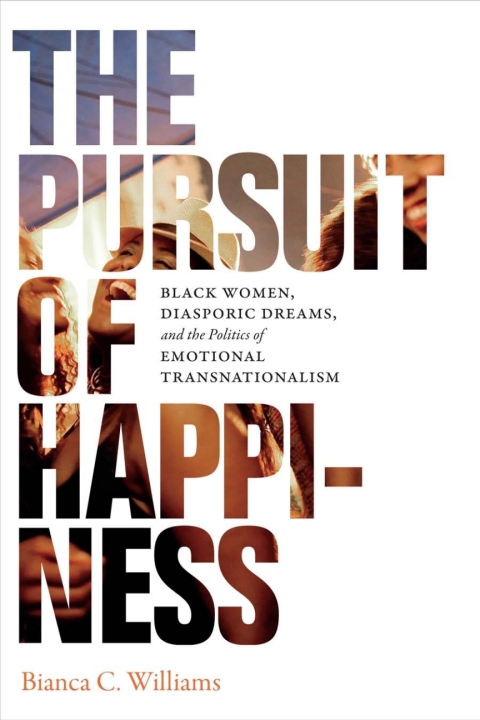 Cover image for book The Pursuit of Happiness