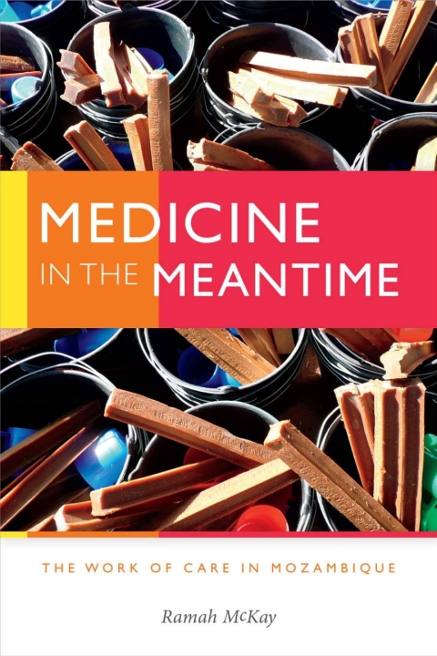 Cover image for book Medicine in the Meantime