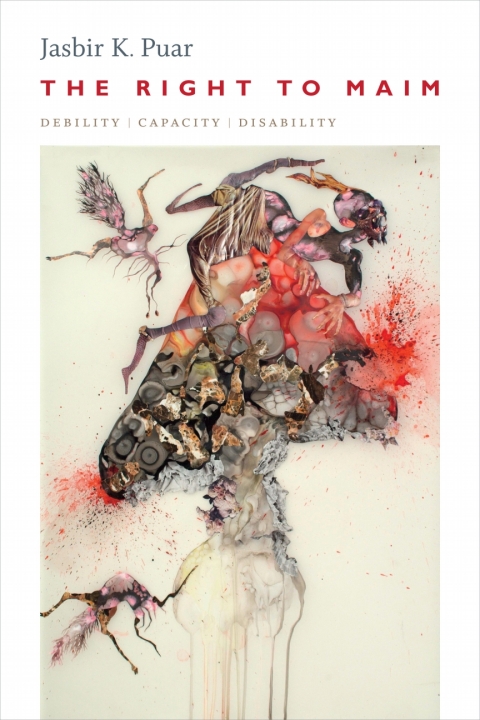 Cover image for book The Right to Maim