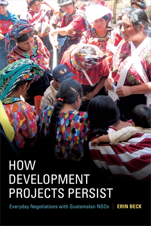 Cover image for book How Development Projects Persist