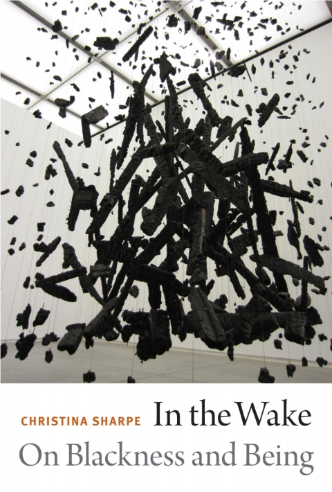 Cover image for book In the Wake