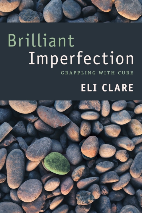 Cover image for book Brilliant Imperfection