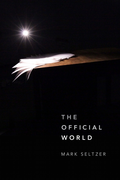 Cover image for book The Official World