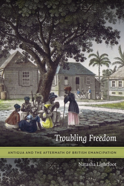 Cover image for book Troubling Freedom